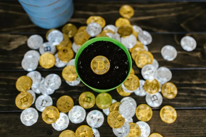 Dead Money No More: How to Put Your Crypto Winnings to Work Between Bets